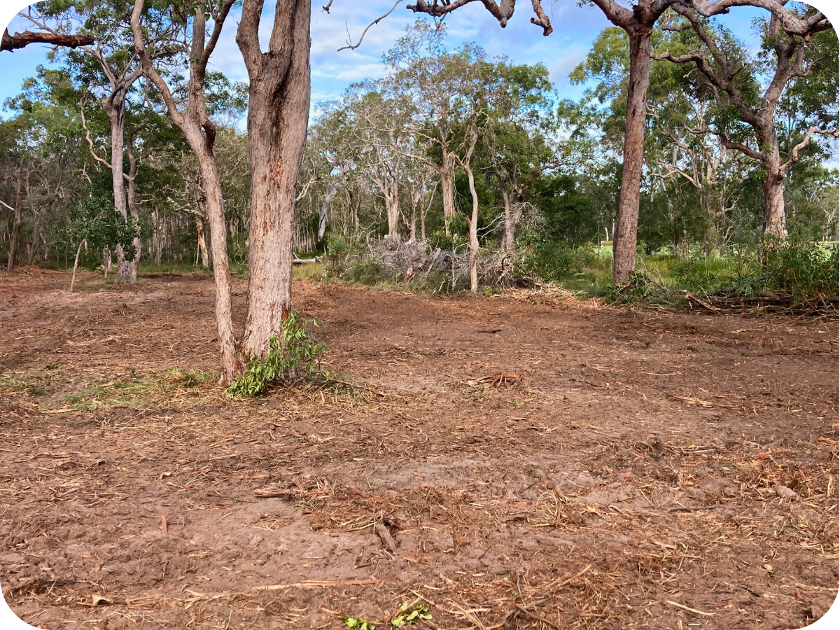 Back to Earth Mulching - Weed Control