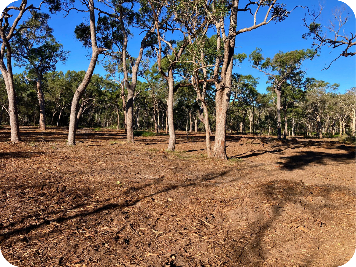 Back to Earth Mulching - Wide Bay