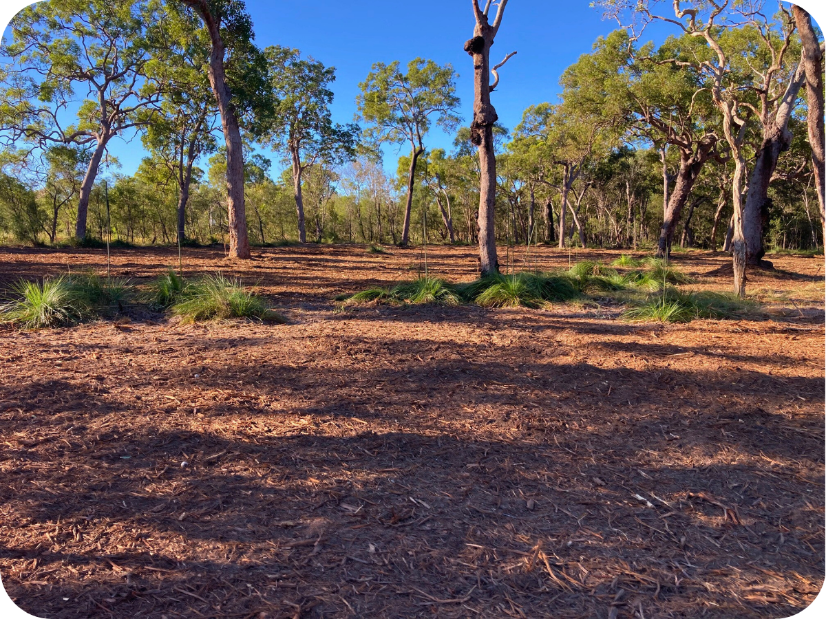 Back to Earth Mulching - Vegetation Management