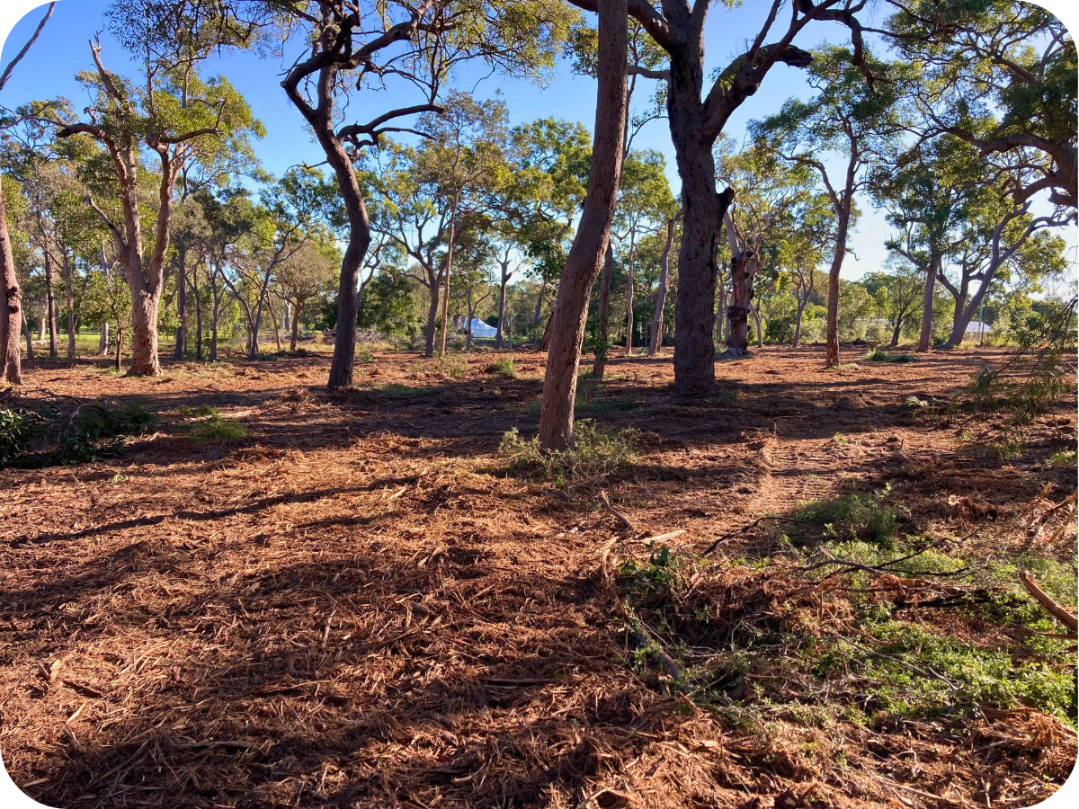 Back to Earth Mulching - Central Queensland